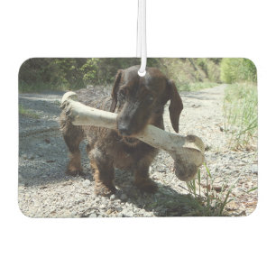 Dachshund Car Air Freshener