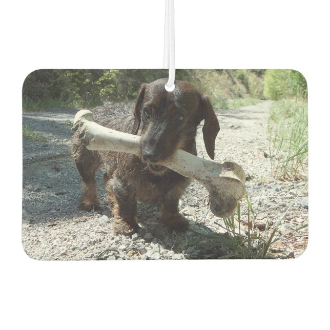Dachshund Car Air Freshener (Front)
