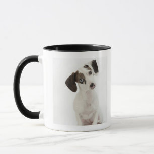 Dachshund/Chihuahua female puppy Mug