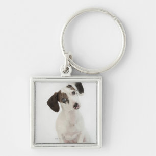 Dachshund/Chihuahua female puppy staring Key Ring