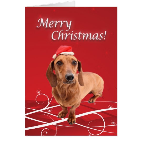 Dachshund Christmas Card
