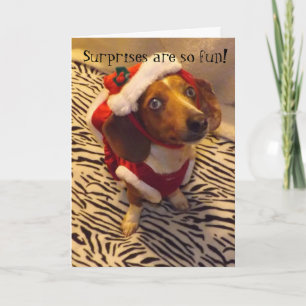 Dachshund Christmas Card