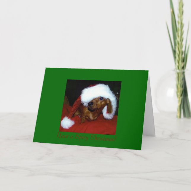 Dachshund Christmas Card (Front)