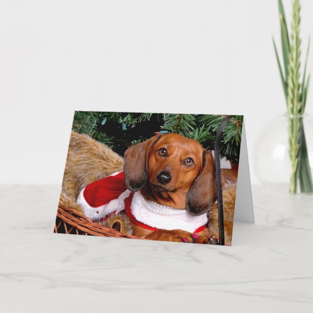 Dachshund Christmas Card (Front)