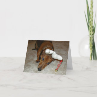 Dachshund Christmas Card - Reluctant Reindeer