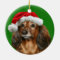 Dachshund Christmas