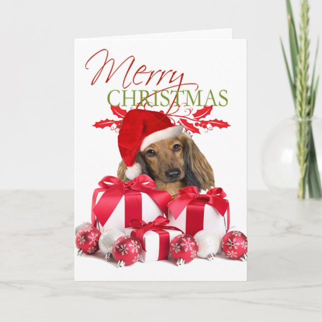 Dachshund Christmas Greeting Cards (Front)