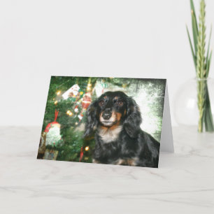 Dachshund Christmas Holiday Card