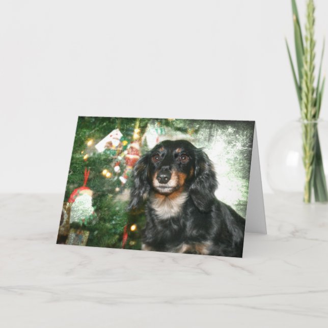 Dachshund Christmas Holiday Card (Front)