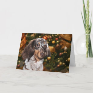 Dachshund Christmas Holiday Card