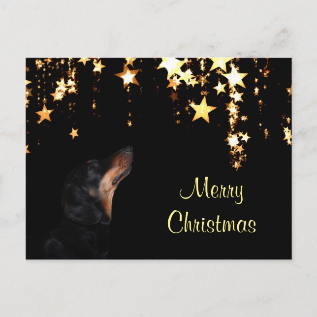 Dachshund Christmas Holiday Postcard (Front)