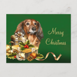 Dachshund Christmas Holiday Postcard