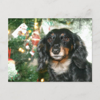 Dachshund Christmas Holiday Postcard