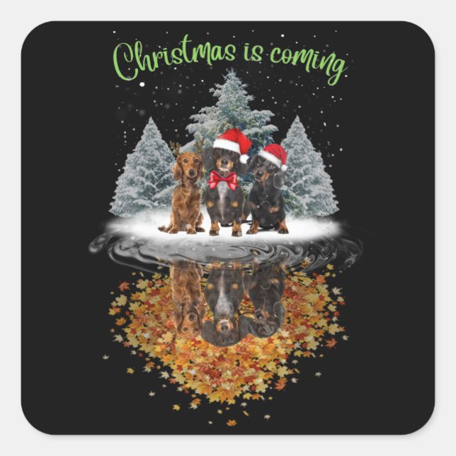 Dachshund Christmas Is Coming Cute Dog Graphic Tee Square Sticker (Front)