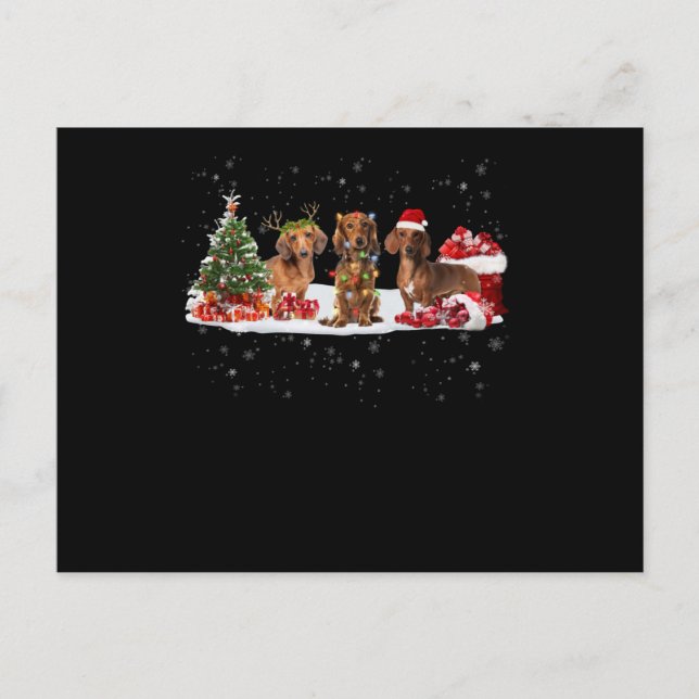 dachshund christmas lights gift for her postcard (Front)
