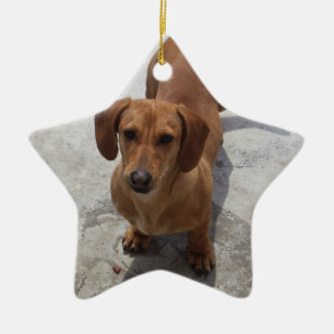 Dachshund Christmas Ornament Star Custom