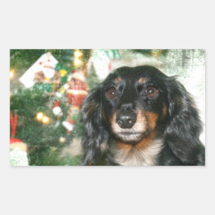 Dachshund Christmas Rectangular Sticker
