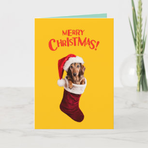 Dachshund Christmas Stocking Holiday Card