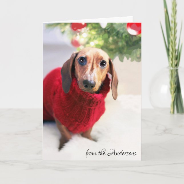 Dachshund Christmas Tree Dog Sweater Customise Holiday Card (Front)