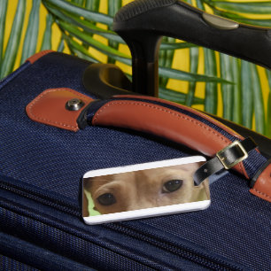 dachshund cream eyes luggage tag