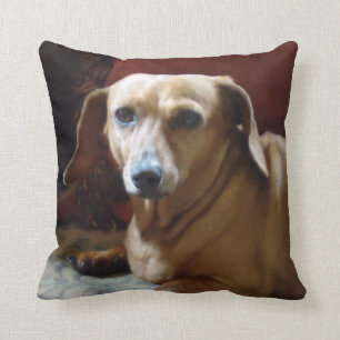 Dachshund Cushion