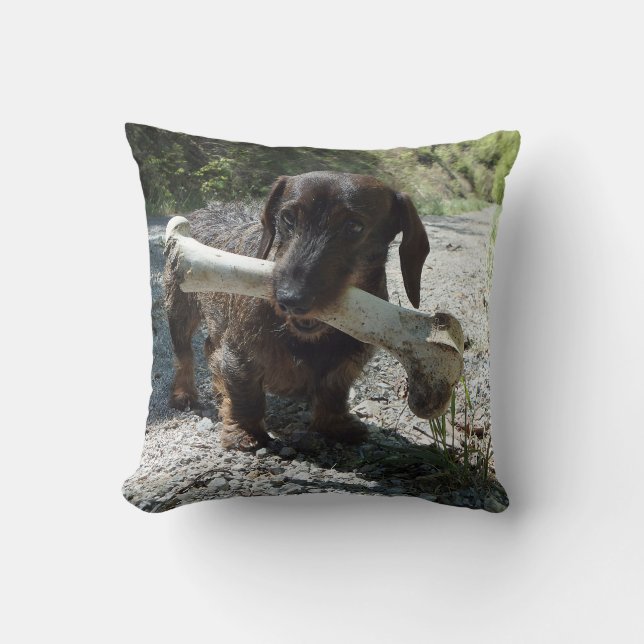 Dachshund Cushion (Front)