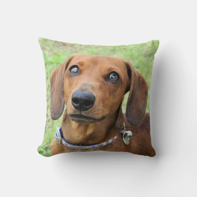 Dachshund Cushion (Front)