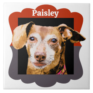 Dachshund customised pattern photo frame tile
