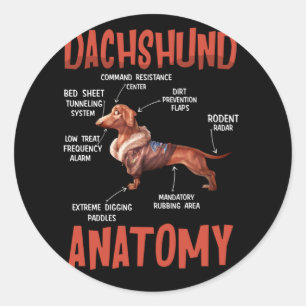 Dachshund Cute for Wiener Doxie Lovers Anatomy Classic Round Sticker