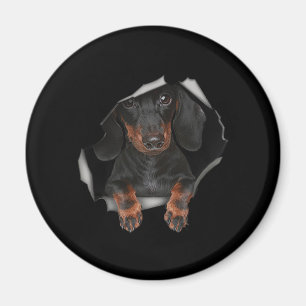 Dachshund Cute Graphic Pet Clothing Dog Lovers Magnet