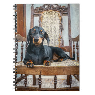Dachshund Cute Notebook