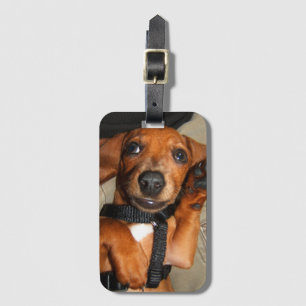 Dachshund Cute Pet Puppy Luggage Tag