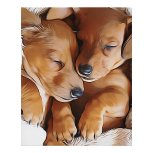 Dachshund Cute Sleeping Dachshund Puppies Birthday Photo Print