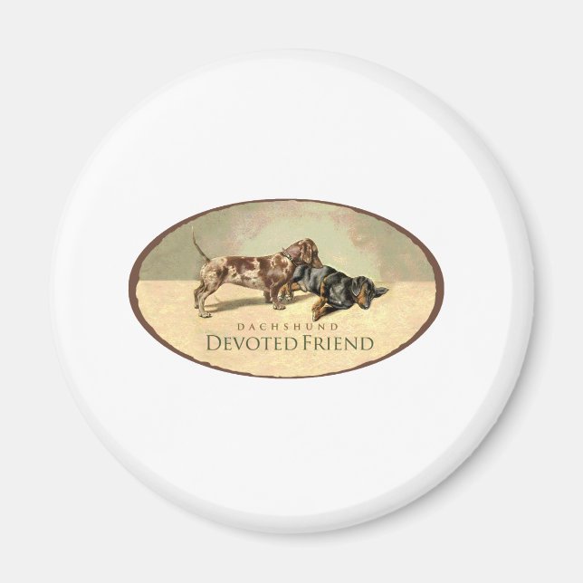Dachshund..Devoted Friend Magnet (Front)