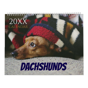 Dachshund Dog 2027 Photo Wall Calendar