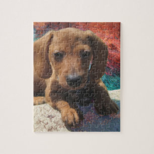 Dachshund - Dog Art - Painting - Pet Portrait Jigsaw Puzzle