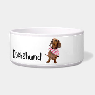 Dachshund - dog bowl by breed 