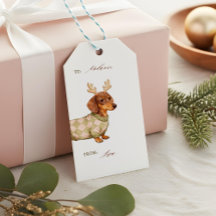 Dachshund Dog Christmas Chequered Sweater Photo