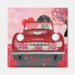 Dachshund Dog Driving Car with Hearts Valentine's  Magnet