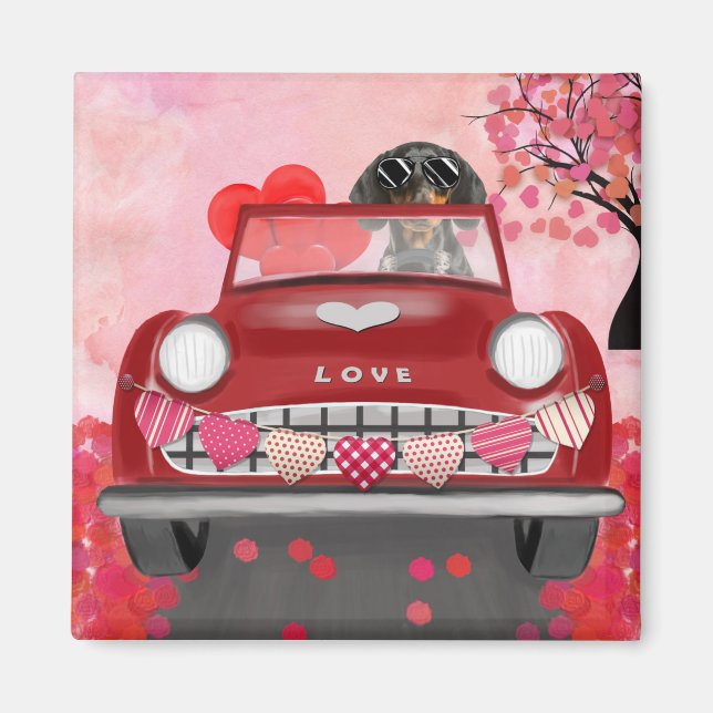 Dachshund Dog Driving Car with Hearts Valentine's  Magnet (Front)