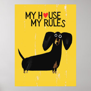 Dachshund dog   Funny & decorative Poster