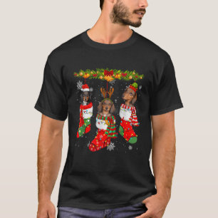 Dachshund Dog In Socks Christmas Lights Sweater Xm