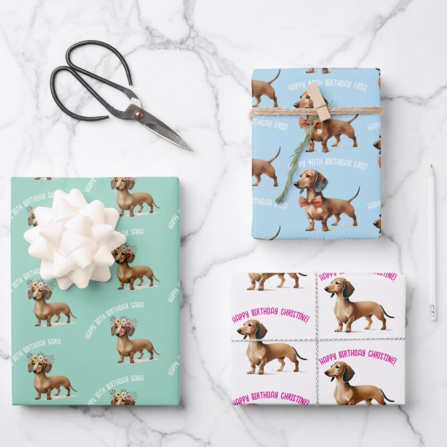 dachshund dog lover birthday celebration  wrapping paper sheet (Front)
