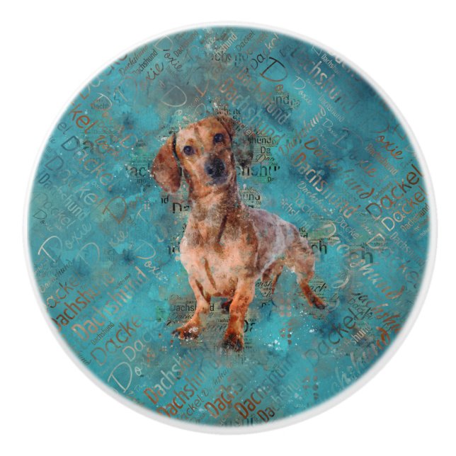 Dachshund dog Mixed Media Art Ceramic Knob (Front)