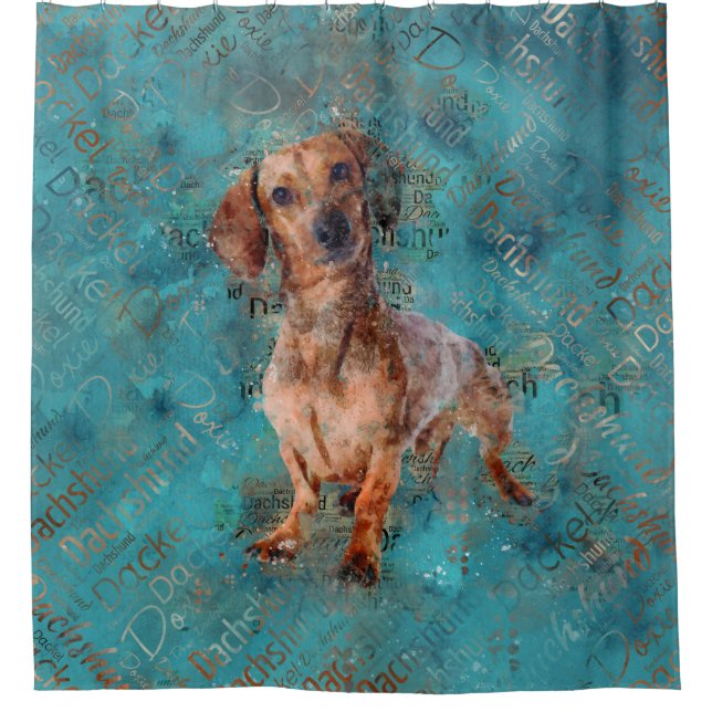 Dachshund dog Mixed Media Art Shower Curtain (Front)