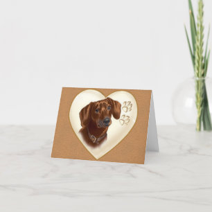 Dachshund Dog Note card, Thank you cards