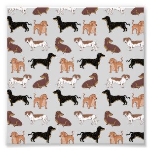 Dachshund dog pattern photo print
