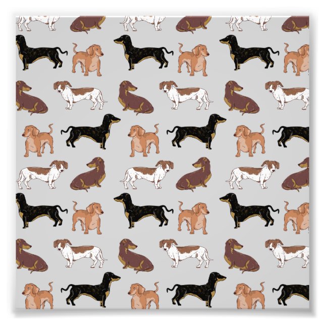 Dachshund dog pattern photo print (Front)