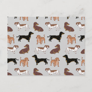 Dachshund dog pattern postcard