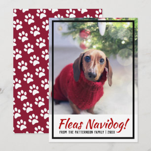 Dachshund Dog Photo Paw Print Christmas Pet Holiday Card